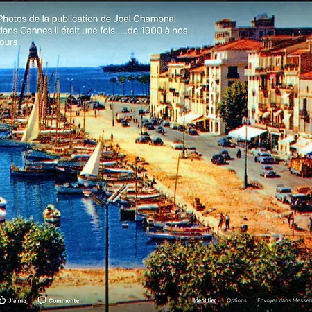 Les Nefliers